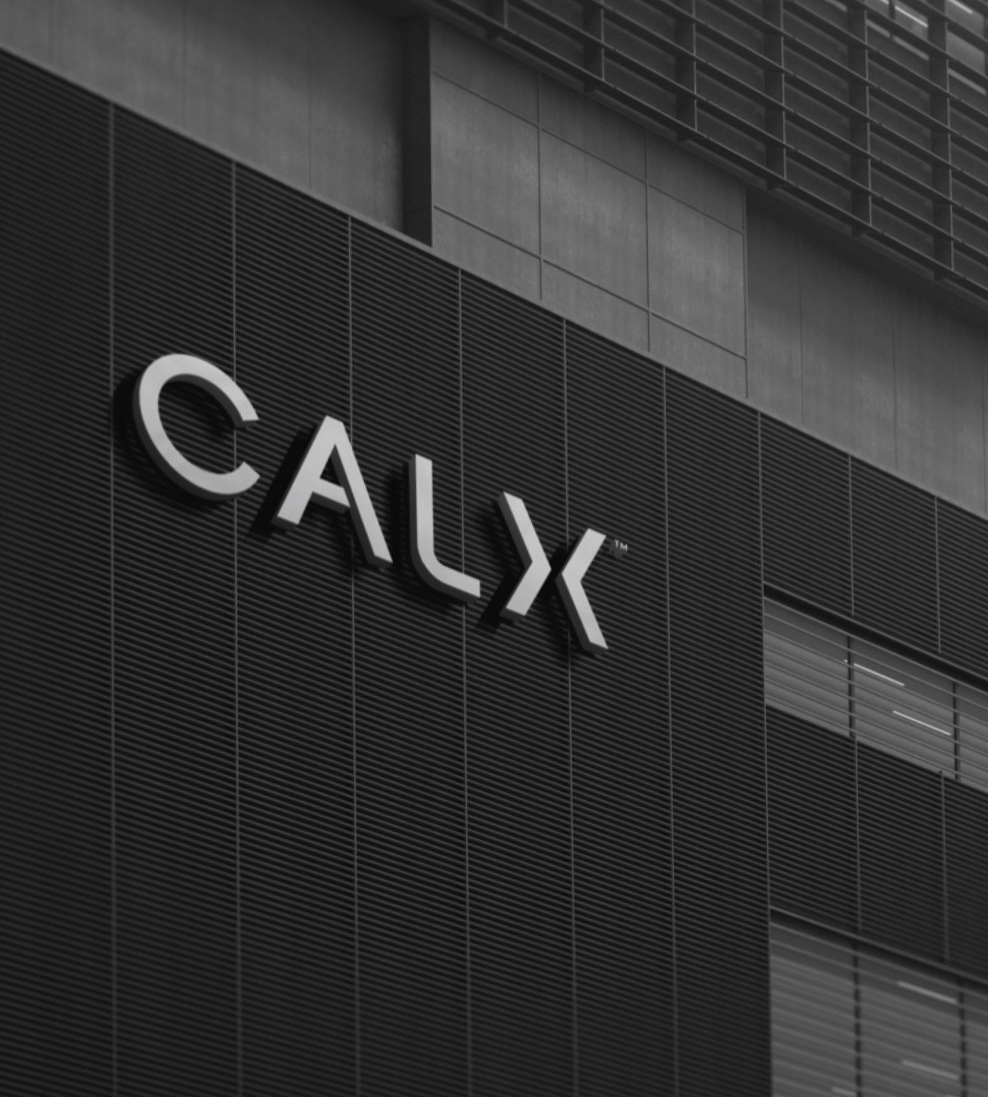 Strategy Consulting CALX Consulting